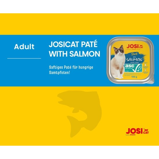 JosiCat Paté with Beef (32 x 100 g) | Adult | Premium Wet Food for Adult Cats | Pate with Beef | Vitamin D3 & E | Grain-Free | Powered by Josera | Wet Cat Food | Pack of 32 JosiCat Paté with Beef (32 x 100 g) | Adult | Premium Wet Food for Adult Cats | Pate with Beef | Vitamin D3 & E | Grain-Free | Powered by Josera | Wet Cat Food | Pack of 32