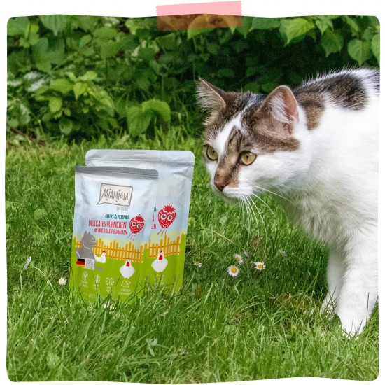 MjAMjAM - Premium Wet Food for Cats - Chicks & Friends Box, Pack of 12 (12 x 125 g), Grain-Free with Extra Meat MjAMjAM - Premium Wet Food for Cats - Chicks & Friends Box, Pack of 12 (12 x 125 g), Grain-Free with Extra Meat