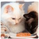 MjAMjAM - Premium Wet Food for Cats - Chicks & Friends Box, Pack of 12 (12 x 125 g), Grain-Free with Extra Meat MjAMjAM - Premium Wet Food for Cats - Chicks & Friends Box, Pack of 12 (12 x 125 g), Grain-Free with Extra Meat