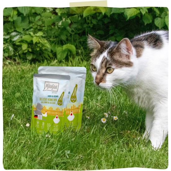 MjAMjAM - Premium Wet Food for Cats - Chicks & Friends Box, Pack of 12 (12 x 125 g), Grain-Free with Extra Meat MjAMjAM - Premium Wet Food for Cats - Chicks & Friends Box, Pack of 12 (12 x 125 g), Grain-Free with Extra Meat