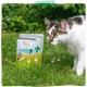 MjAMjAM - Premium Wet Food for Cats - Chicks & Friends Box, Pack of 12 (12 x 125 g), Grain-Free with Extra Meat MjAMjAM - Premium Wet Food for Cats - Chicks & Friends Box, Pack of 12 (12 x 125 g), Grain-Free with Extra Meat