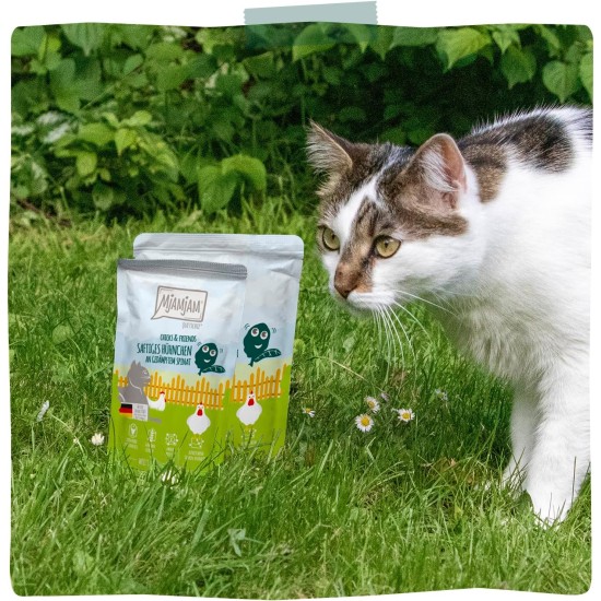MjAMjAM - Premium Wet Food for Cats - Chicks & Friends Box, Pack of 12 (12 x 125 g), Grain-Free with Extra Meat MjAMjAM - Premium Wet Food for Cats - Chicks & Friends Box, Pack of 12 (12 x 125 g), Grain-Free with Extra Meat