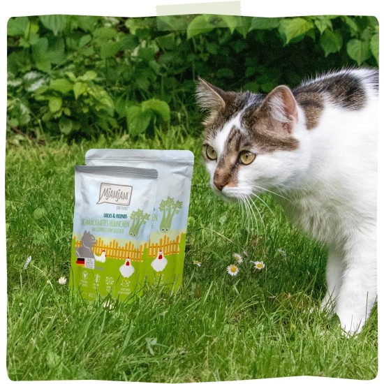 MjAMjAM - Premium Wet Food for Cats - Chicks & Friends Box, Pack of 12 (12 x 125 g), Grain-Free with Extra Meat MjAMjAM - Premium Wet Food for Cats - Chicks & Friends Box, Pack of 12 (12 x 125 g), Grain-Free with Extra Meat