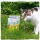 MjAMjAM - Premium Wet Food for Cats - Chicks & Friends Box, Pack of 12 (12 x 125 g), Grain-Free with Extra Meat MjAMjAM - Premium Wet Food for Cats - Chicks & Friends Box, Pack of 12 (12 x 125 g), Grain-Free with Extra Meat