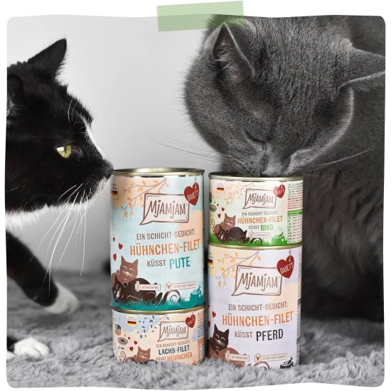 MjAMjAM - Premium Wet Food for Cats - Duet - Salmon Fillet Kisses Chicken, Pack of 6 (6 x 390 g), Grain-Free MjAMjAM - Premium Wet Food for Cats - Duet - Salmon Fillet Kisses Chicken, Pack of 6 (6 x 390 g), Grain-Free