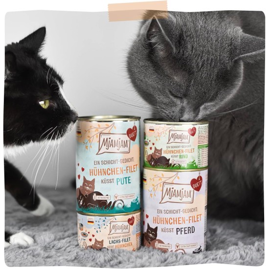 MjAMjAM - Premium Wet Food for Cats - Duet - Salmon Fillet Kisses Chicken, Pack of 6 (6 x 390 g), Grain-Free MjAMjAM - Premium Wet Food for Cats - Duet - Salmon Fillet Kisses Chicken, Pack of 6 (6 x 390 g), Grain-Free