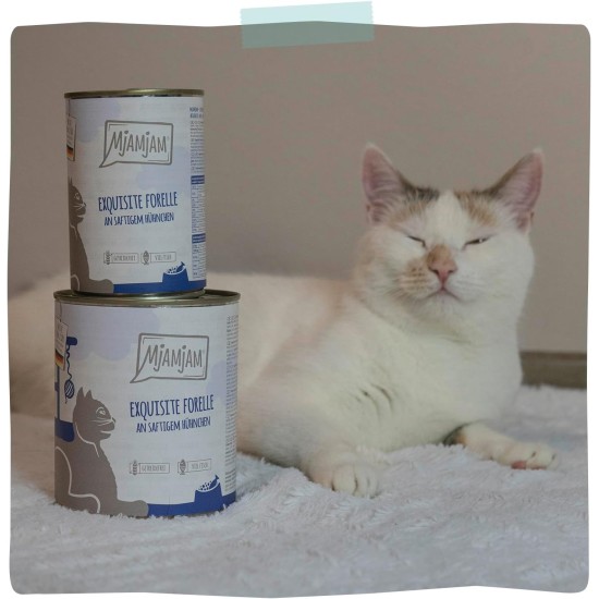 MjAMjAM - Premium Wet Food for Cats - Exquisite Trout on Juicy Chicken, Pack of 6 (6 x 200 g), Grain-Free MjAMjAM - Premium Wet Food for Cats - Exquisite Trout on Juicy Chicken, Pack of 6 (6 x 200 g), Grain-Free