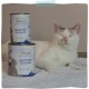 MjAMjAM - Premium Wet Food for Cats - Exquisite Trout on Juicy Chicken, Pack of 6 (6 x 200 g), Grain-Free MjAMjAM - Premium Wet Food for Cats - Exquisite Trout on Juicy Chicken, Pack of 6 (6 x 200 g), Grain-Free