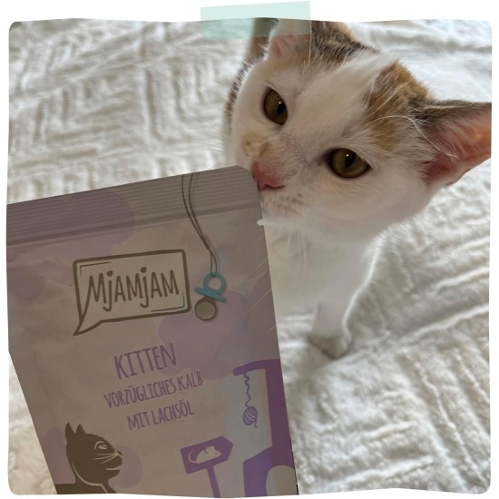 MjAMjAM - Premium Wet Food for Cats - Quetschie - Kitten Good Turkey with Salmon Oil, Pack of 6 (6 x 300 g), Grain-Free MjAMjAM - Premium Wet Food for Cats - Quetschie - Kitten Good Turkey with Salmon Oil, Pack of 6 (6 x 300 g), Grain-Free