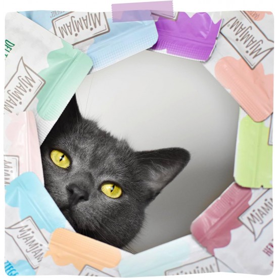 MjAMjAM - Premium Wet Food for Cats - Quetschie - Pure Meat Enjoyment - Pure Delicate Duck 6 Pack (6 x 300 g), Grain-Free with Extra Meat MjAMjAM - Premium Wet Food for Cats - Quetschie - Pure Meat Enjoyment - Pure Delicate Duck 6 Pack (6 x 300 g), Grain-Free with Extra Meat