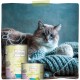 MjAMjAM - Premium Wet Food for Cats - Senior - Juicy Chicken, Pack of 6 (6 x 200 g), Grain-Free MjAMjAM - Premium Wet Food for Cats - Senior - Juicy Chicken, Pack of 6 (6 x 200 g), Grain-Free