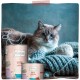 MjAMjAM - Premium Wet Food for Cats - Senior - Juicy Chicken, Pack of 6 (6 x 200 g), Grain-Free MjAMjAM - Premium Wet Food for Cats - Senior - Juicy Chicken, Pack of 6 (6 x 200 g), Grain-Free