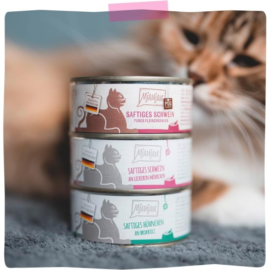 MjAMjAM - Premium Wet Food for Cats - Squeeze - Juicy Pig on Delicious Carrots, Pack of 6 (6 x 300 g), Grain-Free with Extra Meat MjAMjAM - Premium Wet Food for Cats - Squeeze - Juicy Pig on Delicious Carrots, Pack of 6 (6 x 300 g), Grain-Free with Extra Meat