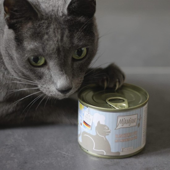 MjAMjAM - Premium Wet Food for Cats - Trial Pack I on Sauce, Pack of 6 (6 x 185 g), Grain-Free with Extra Meat MjAMjAM - Premium Wet Food for Cats - Trial Pack I on Sauce, Pack of 6 (6 x 185 g), Grain-Free with Extra Meat