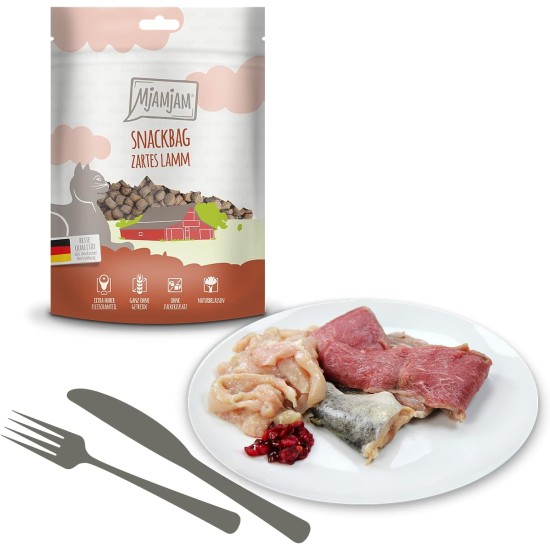 MjAMjAM Premium Cat Snack, Snack Bag, Culinary Wild Salmon, Pack of 1 (1 x 125 g), Natural, No Synthetic Preservatives MjAMjAM Premium Cat Snack, Snack Bag, Culinary Wild Salmon, Pack of 1 (1 x 125 g), Natural, No Synthetic Preservatives