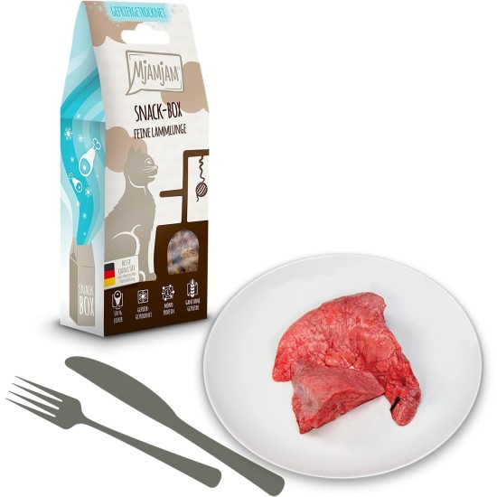 MjAMjAM Premium Cat Snack, Snack Bag, Culinary Wild Salmon, Pack of 1 (1 x 125 g), Natural, No Synthetic Preservatives MjAMjAM Premium Cat Snack, Snack Bag, Culinary Wild Salmon, Pack of 1 (1 x 125 g), Natural, No Synthetic Preservatives