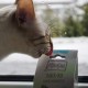 MjAMjAM Premium Cat Snack, Snack Bag, Culinary Wild Salmon, Pack of 1 (1 x 125 g), Natural, No Synthetic Preservatives MjAMjAM Premium Cat Snack, Snack Bag, Culinary Wild Salmon, Pack of 1 (1 x 125 g), Natural, No Synthetic Preservatives