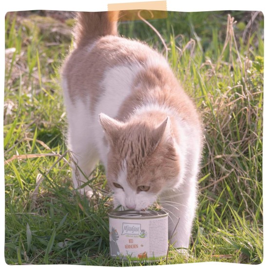 MjAMjAM Premium Wet Food for Cats - Naturally Delicious - Organic Beef, Pack of 6 (6 x 200 g), Grain-Free with Extra Meat MjAMjAM Premium Wet Food for Cats - Naturally Delicious - Organic Beef, Pack of 6 (6 x 200 g), Grain-Free with Extra Meat