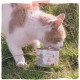 MjAMjAM Premium Wet Food for Cats - Naturally Delicious - Organic Beef, Pack of 6 (6 x 200 g), Grain-Free with Extra Meat MjAMjAM Premium Wet Food for Cats - Naturally Delicious - Organic Beef, Pack of 6 (6 x 200 g), Grain-Free with Extra Meat