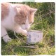 MjAMjAM Premium Wet Food for Cats - Naturally Delicious - Organic Beef, Pack of 6 (6 x 200 g), Grain-Free with Extra Meat MjAMjAM Premium Wet Food for Cats - Naturally Delicious - Organic Beef, Pack of 6 (6 x 200 g), Grain-Free with Extra Meat