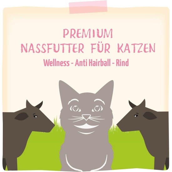MjAMjAM Premium Wet Food for Cats - Wellness Feel-Good Pack Beef, Pack of 12 (12 x 125 g), Grain-Free with Extra Meat MjAMjAM Premium Wet Food for Cats - Wellness Feel-Good Pack Beef, Pack of 12 (12 x 125 g), Grain-Free with Extra Meat
