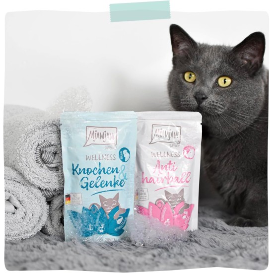 MjAMjAM Premium Wet Food for Cats - Wellness Feel-Good Pack Beef, Pack of 12 (12 x 125 g), Grain-Free with Extra Meat MjAMjAM Premium Wet Food for Cats - Wellness Feel-Good Pack Beef, Pack of 12 (12 x 125 g), Grain-Free with Extra Meat