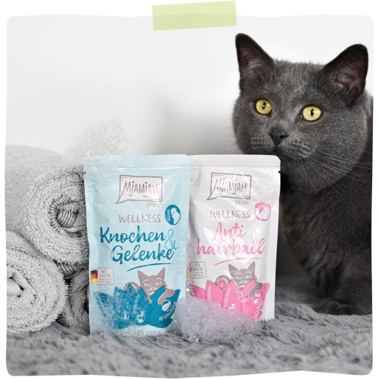 MjAMjAM Premium Wet Food for Cats - Wellness Feel-Good Pack Chicken, Pack of 12 (12 x 125 g), Grain-Free with Extra Meat MjAMjAM Premium Wet Food for Cats - Wellness Feel-Good Pack Chicken, Pack of 12 (12 x 125 g), Grain-Free with Extra Meat