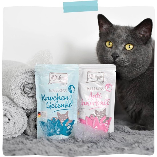 MjAMjAM Premium Wet Food for Cats - Wellness Feel-Good Pack Chicken, Pack of 12 (12 x 125 g), Grain-Free with Extra Meat MjAMjAM Premium Wet Food for Cats - Wellness Feel-Good Pack Chicken, Pack of 12 (12 x 125 g), Grain-Free with Extra Meat