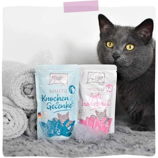 MjAMjAM Premium Wet Food for Cats - Wellness Feel-Good Pack Chicken, Pack of 12 (12 x 125 g), Grain-Free with Extra Meat MjAMjAM Premium Wet Food for Cats - Wellness Feel-Good Pack Chicken, Pack of 12 (12 x 125 g), Grain-Free with Extra Meat
