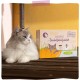 MjAMjAM Premium Wet Food for Cats - Wellness Feel-Good Pack Chicken, Pack of 12 (12 x 125 g), Grain-Free with Extra Meat MjAMjAM Premium Wet Food for Cats - Wellness Feel-Good Pack Chicken, Pack of 12 (12 x 125 g), Grain-Free with Extra Meat