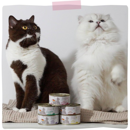 MjAMjAM Premium Wet Food for Cats, Duo, Tender Duck and Good Turkey with Steamed Pumpkin, Pack of 6 (6 x 400 g), Grain-Free with Extra Meat MjAMjAM Premium Wet Food for Cats, Duo, Tender Duck and Good Turkey with Steamed Pumpkin, Pack of 6 (6 x 400 g), Grain-Free with Extra Meat