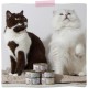 MjAMjAM Premium Wet Food for Cats, Duo, Tender Duck and Good Turkey with Steamed Pumpkin, Pack of 6 (6 x 400 g), Grain-Free with Extra Meat MjAMjAM Premium Wet Food for Cats, Duo, Tender Duck and Good Turkey with Steamed Pumpkin, Pack of 6 (6 x 400 g), Grain-Free with Extra Meat