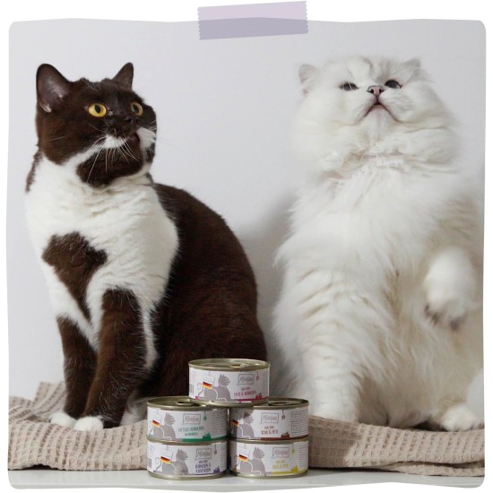 MjAMjAM Premium Wet Food for Cats, Duo, Tender Duck and Good Turkey with Steamed Pumpkin, Pack of 6 (6 x 400 g), Grain-Free with Extra Meat MjAMjAM Premium Wet Food for Cats, Duo, Tender Duck and Good Turkey with Steamed Pumpkin, Pack of 6 (6 x 400 g), Grain-Free with Extra Meat