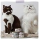 MjAMjAM Premium Wet Food for Cats, Duo, Tender Duck and Good Turkey with Steamed Pumpkin, Pack of 6 (6 x 400 g), Grain-Free with Extra Meat MjAMjAM Premium Wet Food for Cats, Duo, Tender Duck and Good Turkey with Steamed Pumpkin, Pack of 6 (6 x 400 g), Grain-Free with Extra Meat