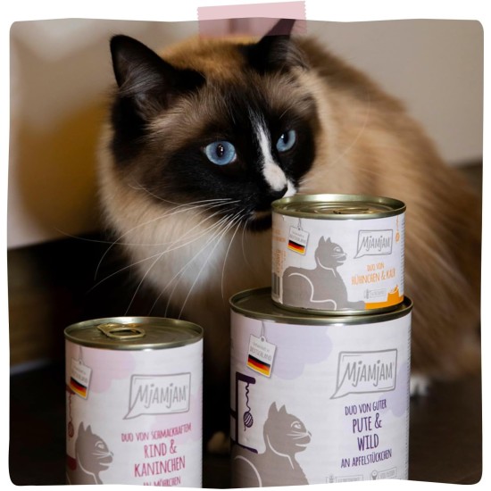 MjAMjAM Premium Wet Food for Cats, Duo, Tender Duck and Good Turkey with Steamed Pumpkin, Pack of 6 (6 x 400 g), Grain-Free with Extra Meat MjAMjAM Premium Wet Food for Cats, Duo, Tender Duck and Good Turkey with Steamed Pumpkin, Pack of 6 (6 x 400 g), Grain-Free with Extra Meat