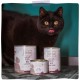 MjAMjAM Premium Wet Food for Cats, Duo, Tender Duck and Good Turkey with Steamed Pumpkin, Pack of 6 (6 x 400 g), Grain-Free with Extra Meat MjAMjAM Premium Wet Food for Cats, Duo, Tender Duck and Good Turkey with Steamed Pumpkin, Pack of 6 (6 x 400 g), Grain-Free with Extra Meat
