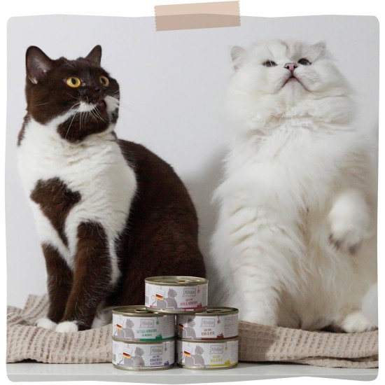 MjAMjAM Premium Wet Food for Cats, Duo, Tender Duck and Good Turkey with Steamed Pumpkin, Pack of 6 (6 x 400 g), Grain-Free with Extra Meat MjAMjAM Premium Wet Food for Cats, Duo, Tender Duck and Good Turkey with Steamed Pumpkin, Pack of 6 (6 x 400 g), Grain-Free with Extra Meat