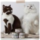 MjAMjAM Premium Wet Food for Cats, Duo, Tender Duck and Good Turkey with Steamed Pumpkin, Pack of 6 (6 x 400 g), Grain-Free with Extra Meat MjAMjAM Premium Wet Food for Cats, Duo, Tender Duck and Good Turkey with Steamed Pumpkin, Pack of 6 (6 x 400 g), Grain-Free with Extra Meat