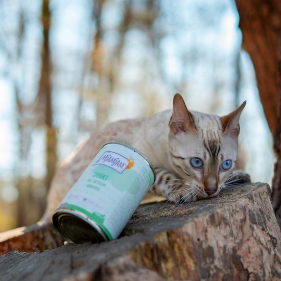 MjAMjAM Premium Wet Food for Cats, Insect with Juicy Chicken, Pack of 6 (6 x 400 g), Grain-Free with Insect Protein MjAMjAM Premium Wet Food for Cats, Insect with Juicy Chicken, Pack of 6 (6 x 400 g), Grain-Free with Insect Protein