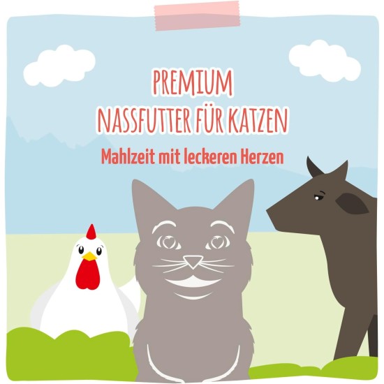 MjAMjAM Premium Wet Food for Cats, Juicy Chicken with Delicious Carrots, Pack of 6 (6 x 400 g), Grain-Free with Extra Meat MjAMjAM Premium Wet Food for Cats, Juicy Chicken with Delicious Carrots, Pack of 6 (6 x 400 g), Grain-Free with Extra Meat