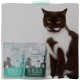 MjAMjAM Premium Wet Food for Cats, Juicy Chicken with Delicious Carrots, Pack of 6 (6 x 400 g), Grain-Free with Extra Meat MjAMjAM Premium Wet Food for Cats, Juicy Chicken with Delicious Carrots, Pack of 6 (6 x 400 g), Grain-Free with Extra Meat
