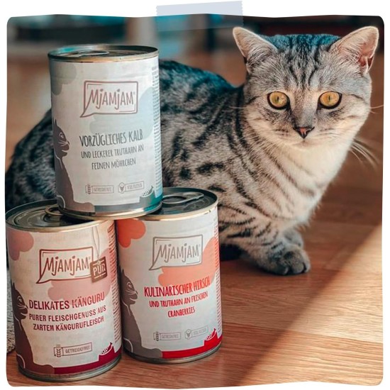 MjAMjAM Premium Wet Food for Cats, Juicy Chicken with Delicious Carrots, Pack of 6 (6 x 400 g), Grain-Free with Extra Meat MjAMjAM Premium Wet Food for Cats, Juicy Chicken with Delicious Carrots, Pack of 6 (6 x 400 g), Grain-Free with Extra Meat