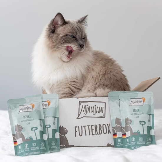 MjAMjAM Premium Wet Food for Cats, Juicy Chicken with Delicious Carrots, Pack of 6 (6 x 400 g), Grain-Free with Extra Meat MjAMjAM Premium Wet Food for Cats, Juicy Chicken with Delicious Carrots, Pack of 6 (6 x 400 g), Grain-Free with Extra Meat