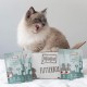 MjAMjAM Premium Wet Food for Cats, Juicy Chicken with Delicious Carrots, Pack of 6 (6 x 400 g), Grain-Free with Extra Meat MjAMjAM Premium Wet Food for Cats, Juicy Chicken with Delicious Carrots, Pack of 6 (6 x 400 g), Grain-Free with Extra Meat