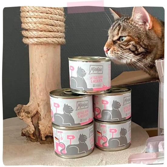 MjAMjAM Premium Wet Food for Cats, Juicy Chicken with Delicious Carrots, Pack of 6 (6 x 400 g), Grain-Free with Extra Meat MjAMjAM Premium Wet Food for Cats, Juicy Chicken with Delicious Carrots, Pack of 6 (6 x 400 g), Grain-Free with Extra Meat