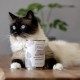 MjAMjAM Premium Wet Food for Cats, Juicy Chicken with Delicious Carrots, Pack of 6 (6 x 400 g), Grain-Free with Extra Meat MjAMjAM Premium Wet Food for Cats, Juicy Chicken with Delicious Carrots, Pack of 6 (6 x 400 g), Grain-Free with Extra Meat