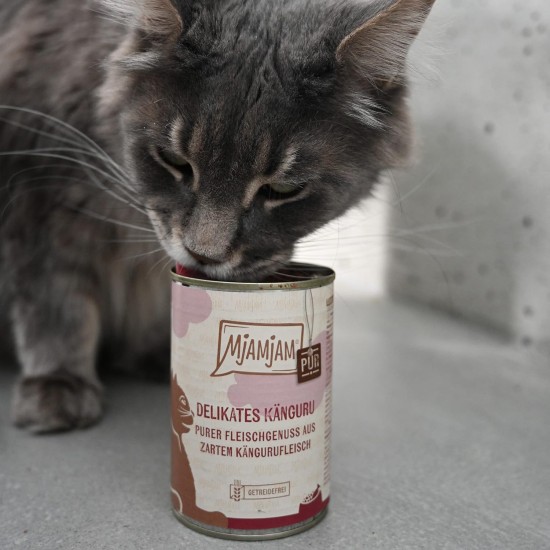 MjAMjAM Premium Wet Food for Cats, Pure Meat Enjoyment, Pure Juicy Chicken, Pack of 6 (6 x 400 g), Grain-Free with Extra Meat MjAMjAM Premium Wet Food for Cats, Pure Meat Enjoyment, Pure Juicy Chicken, Pack of 6 (6 x 400 g), Grain-Free with Extra Meat
