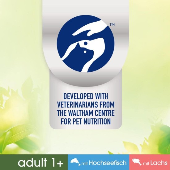 PERFECT FIT Adult 1+ Premium Wet Cat Food - 36 x 50 g Portion Bag - with Chicken and Turkey - Wet Food for Cats - No Grain PERFECT FIT Adult 1+ Premium Wet Cat Food - 36 x 50 g Portion Bag - with Chicken and Turkey - Wet Food for Cats - No Grain