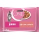PURINA ONE Junior Kitten Food Wet Delicate Pieces in Sauce with Salmon and Carrots, Pack of 12 (12 x 4 of 85 g) PURINA ONE Junior Kitten Food Wet Delicate Pieces in Sauce with Salmon and Carrots, Pack of 12 (12 x 4 of 85 g)