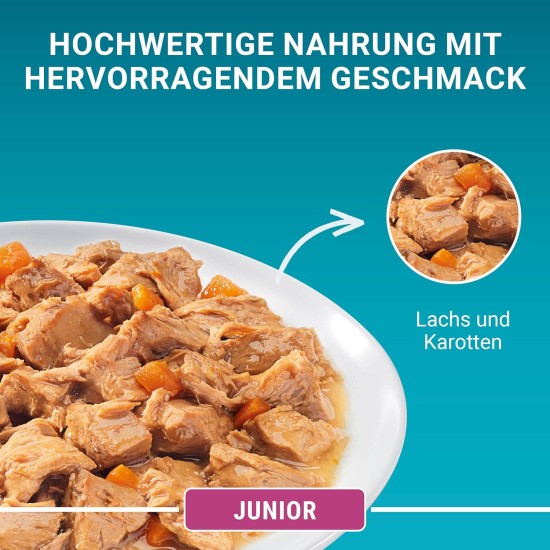 PURINA ONE Junior Kitten Food Wet Delicate Pieces in Sauce with Salmon and Carrots, Pack of 12 (12 x 4 of 85 g) PURINA ONE Junior Kitten Food Wet Delicate Pieces in Sauce with Salmon and Carrots, Pack of 12 (12 x 4 of 85 g)
